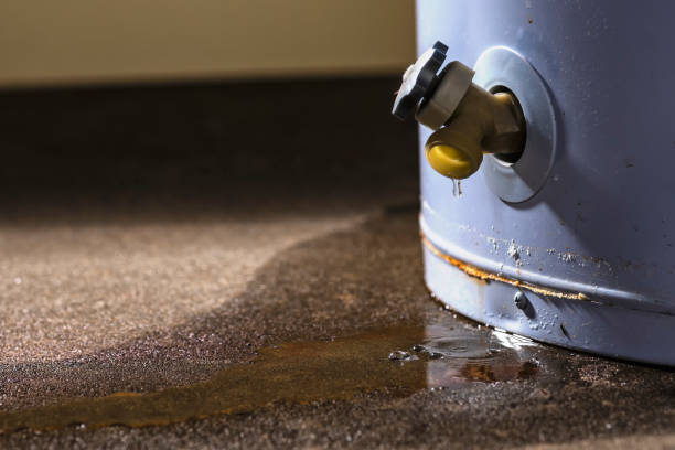 Best Water damage restoration insurance claims  in Han, GA