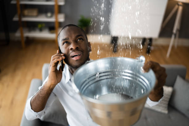 Best Basement water damage restoration  in Han, GA
