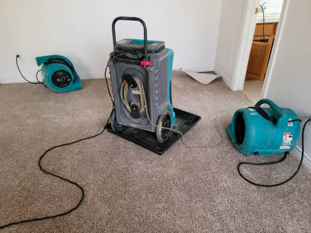 Best Fire Damage Restoration  in Han, GA