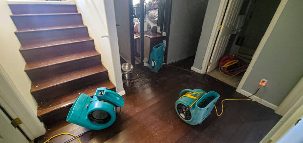  Han, GA Water damage restoration Pros