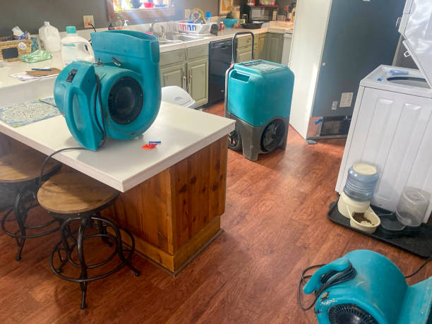 Best Water damage restoration near me  in Han, GA