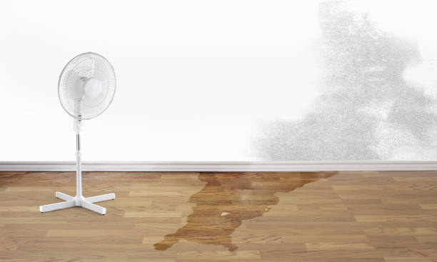 Best Fire Damage Restoration  in Han, GA