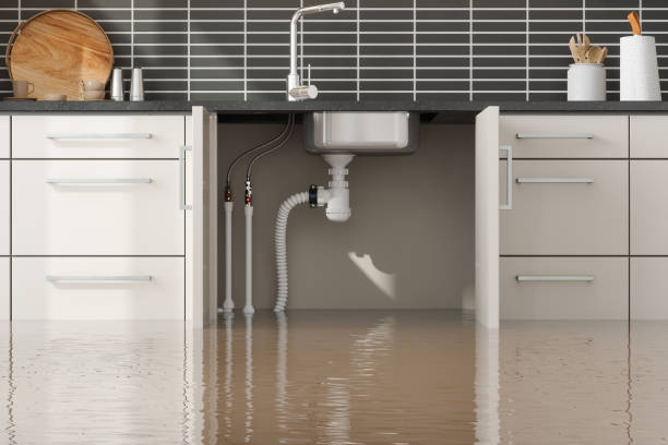 Best Professional water damage repair  in Han, GA