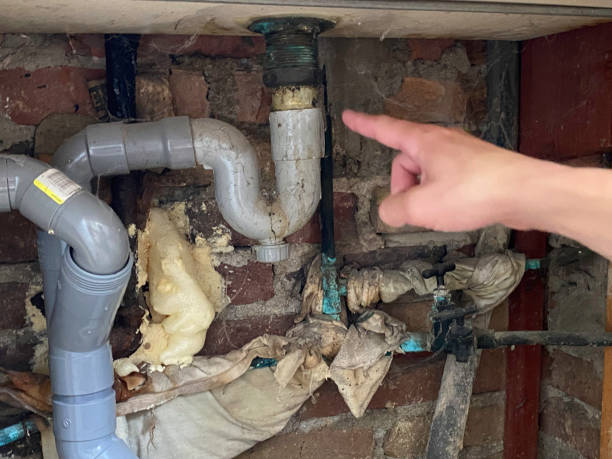 Best Water damage contractors near me  in Han, GA